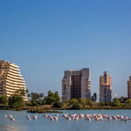 Apartment Port